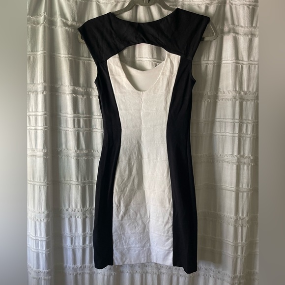 Express Dress - Picture 3 of 4